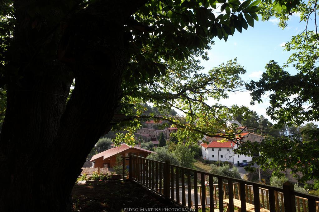 Casas Do Pastor Hotel Seia Ngoại thất bức ảnh